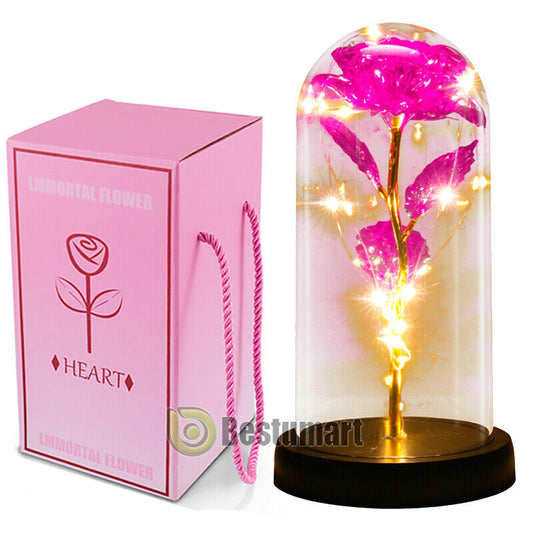 Preserved Eternal Rose in Glass Galaxy Flower Dome LED Light Holiday Gifts